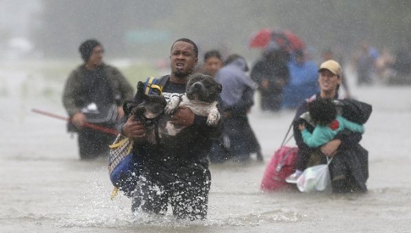 Residents struggle through flood waters from tropical storm Harvey in Beaumont Place, Texas, August 28. | Photo: Reuters