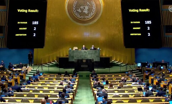 The UN General Assembly vote in 2022