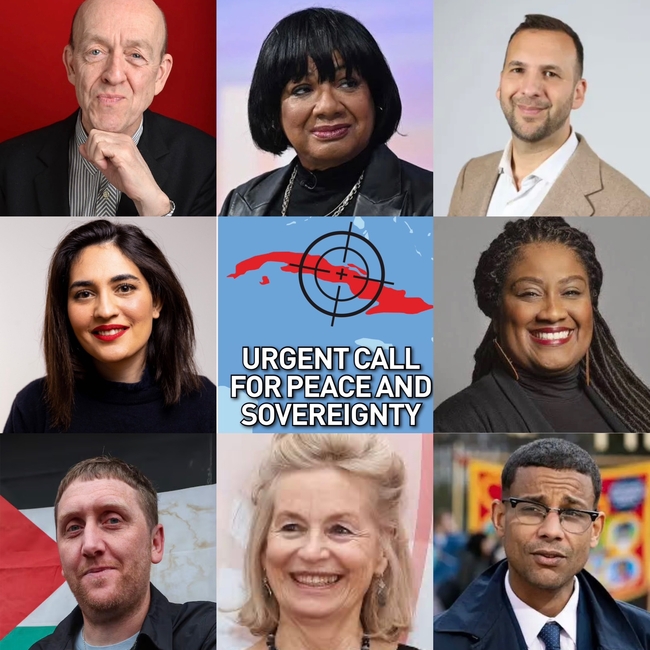 Pictured clockwise from top left Andy de la Tour, Diane Abbott, Zack Polanski, Bell Ribeiro-Addy, Daniel Kebede, Victoria Brittain, Daniel Lambert, Maryam Eslamdoust.