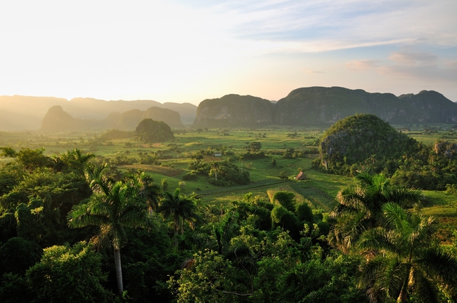 The mogotes of Vinales valley in western Cuba